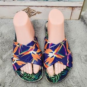 Sofia Webster multicolor sandals